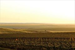 190849822_2042498989247112_1889560065802898922_n